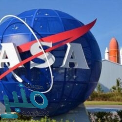 قوات الأمن البيئي تضبط 70 طنًا من الحطب المحلي المعد للبيع في مدينة الرياض