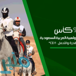 مركز الملك سلمان للإغاثة يوزع 1300 سلة غذائية للنازحين من الجوف إلى مأرب