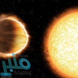 المخللات وتأثيرها على الأطفال.. تعرفِ على الفوائد والأضرار