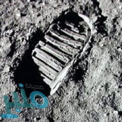 دراسة: الخلايا المناعية فى الدماغ سبب فى الإصابة بالاكتئاب