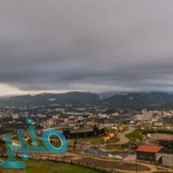 شرطة تبوك: القبض على شخص أساء لرجال الأمن