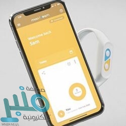 بهدفي إبراهيموفيتش.. ميلان يهزم كالياري وينفرد بصدارة ترتيب الدوري الإيطالي