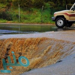 شرطة مكة: القبض على 5 مقيمين سرقوا 80 قاطعًا كهربائيًا