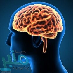 بيتوني مساعد زيدان: “بطء” عملية تجديد عقد سيرجيو راموس لن تؤثر عليه