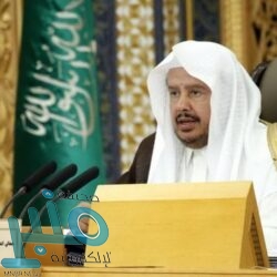 “العدل” تعلن تفاصيل إجراء المقابلات الشخصية للدفعة الثانية من المتقدمين للمسابقة الوظيفية