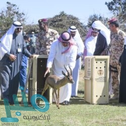 السودان: لا نقبل بفرض سياسة الأمر الواقع بخصوص سد النهضة الإثيوبي
