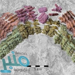 6 آثار جانبية للإفراط فى أكل التفاح.. تعرف عليها