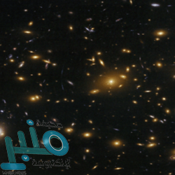 صدور نتيجة الاستئناف والطعن على عقوبة ميسي