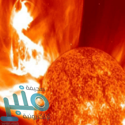 شركة بن زقر المحدودة توفر وظائف شاغرة لحملة البكالوريوس