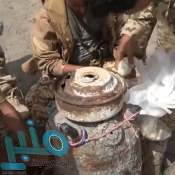 “الجمارك” تعلن قيمة صادرات وواردات اللحوم في المملكة خلال 2020