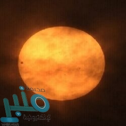 إضافة صحية وشائعة للشاي قد تقلل خطر الإصابة بالسرطان