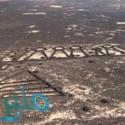 صندوق الاستثمارات العامة يُطلق شركة “كروز السعودية” لتطوير قطاع الرحلات البحرية السياحية في المملكة