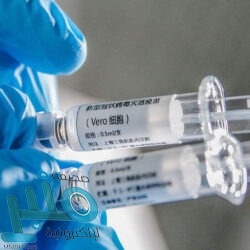 أبرزها الاتحاد وضمك .. اختتام الجولة الـ12 من دوري المحترفين بـ 3 مواجهات