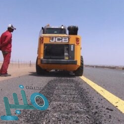 الإرياني: مليشيا الحوثي تتراجع عن اتفاق يسمح لفريق خبراء أممي بصيانة “صافر”