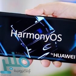 الأرصاد: طقس بارد ومستقر على معظم مناطق المملكة