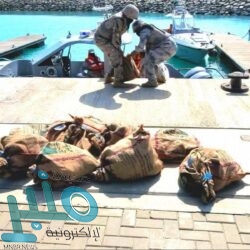 خطيب المسجد الحرام : الإسلام حث على مشروعية التداوي والعلاج والحث عليه لمن أصابه المرض