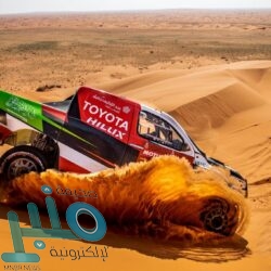 مبادرة بين “موانئ” و”الموارد البشرية” لتوطين وظائف الشركات العاملة بالموانئ