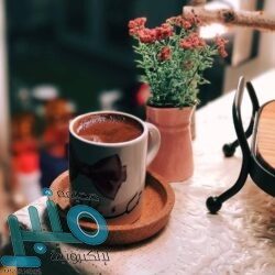 المملكة ترحب بقرار الإدارة الأمريكية تصنيف ميليشيا الحوثي “منظمة إرهابية”