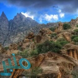 أمير تبوك يقف على جاهزية مركز لقاحات كورونا بالمنطقة