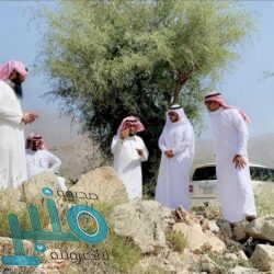 “حقوق الإنسان” تدعو مقدمي خدمات الاتصالات لتقييد الاطلاع على معلومات المستخدمين