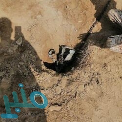 النصر بطلًا لكأس السوبر بثلاثية في الهلال