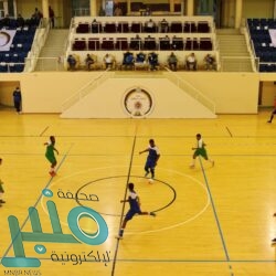 الدنمارك تتوج بمونديال اليد للمرة الثانية على التوالي