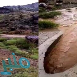 “الصحة”: تسجيل 4 وفاة و110 إصابات جديدة بفيروس “كورونا” وشفاء 174 حالة