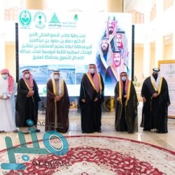 الخارجية المصرية: نقدر جهود تحقيق المصالحة مع قطر ويتحتم البناء على هذه الخطوة