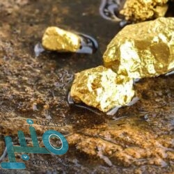 حتى الـ 8 مساءً .. تنبيه من أمطار رعدية على منطقة الباحة