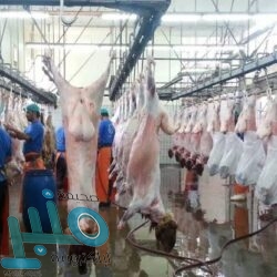 44 خدمة رقمية توفرها رئاسة شؤون الحرمين داخل منظومة أعمال المسجد الحرام