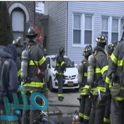 الأمن البيئي يضبط 12 طنًا من الحطب المحلي في الرياض