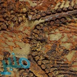 احذر.. علامات تظهر على الأظافر في حالات نادرة تشير لمشكلات صحية خطيرة