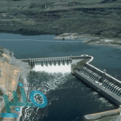 ضبط 26 شخصًا بحوزتهم كمية كبيرة من الحطب المحلي المعد للبيع في عدة مناطق