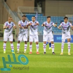 وزير الداخلية يلتقي سفيري تونس ومصر