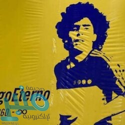 في أول مهمة عربية.. “مسبار الأمل” الإماراتي يصل المريخ