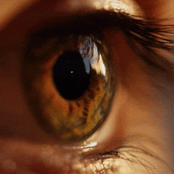 مايكروسوفت تستبدل متصفح edge بإصدار جديد في أبريل