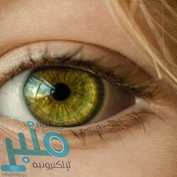 مايكروسوفت تكشف مواصفات وموعد إطلاق أوفيس 2021