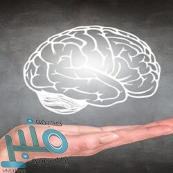 شرطة محافظة رابغ توفر وظيفة عمدة شاغرة لحملة الثانوية العامة فما فوق