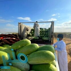 كشافة الفتيات المكيات تساهم تطوعيًا في حملة لقاح كورونا