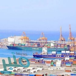 “التعليم” تنهي إجراءات ترقية أكثر من 12 ألف موظف وموظفة