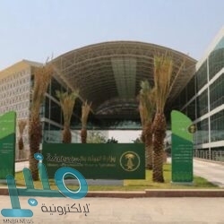 خادم الحرمين يبعث رسالة خطية للسيسي