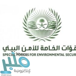 جوله ميدانية وتقييد 11 مخالفة بشرورة