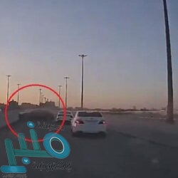 “متحدث التجارة”: المواطنة التي منحت الوافد سجلها التجاري مقابل 500 ريال أصبحت شريكة في جريمتين