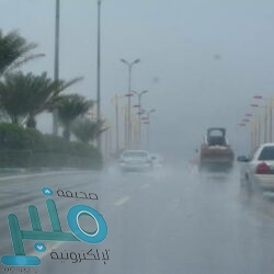 أمير الباحة يعلن اعتماد البرج الطبي “تخصصيًا”