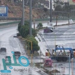 الموافقة على اعتماد سعر شراء القمح من المزارعين للموسم الزراعي الحالي