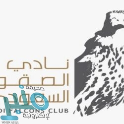 أبرزها الشباب والرائد .. اختتام منافسات الجولة الـ 17 من دوري المحترفين بمواجهتين