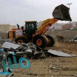 تفاصيل قرارات مجلس الوزراء اليوم الثلاثاء