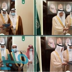 “التحالف”: تدمير طائرة مفخخة في الأجواء اليمنية أطلقها الحوثيون تجاه المملكة