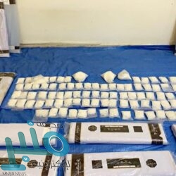 القبض على مقيم نشر فيديو وهو يتحدث بعبارات تتنافى مع المبادئ الإسلامية والقيم الأخلاقية