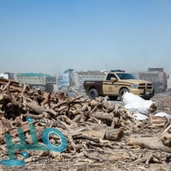 “كفاءة”: تحديث قواعد بيانات السيارات المستعملة لتشمل مركبات موديل 2021